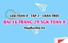 Bài 16 trang 29 Toán 8 Tập 2 Chân trời sáng tạo
